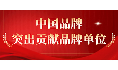 南宫NG28电梯获评“凸起贡献品牌单元”，设置中国品牌标杆力量